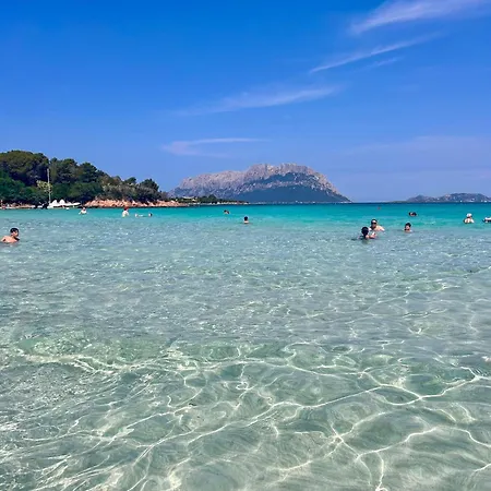Appartamento Marina Of